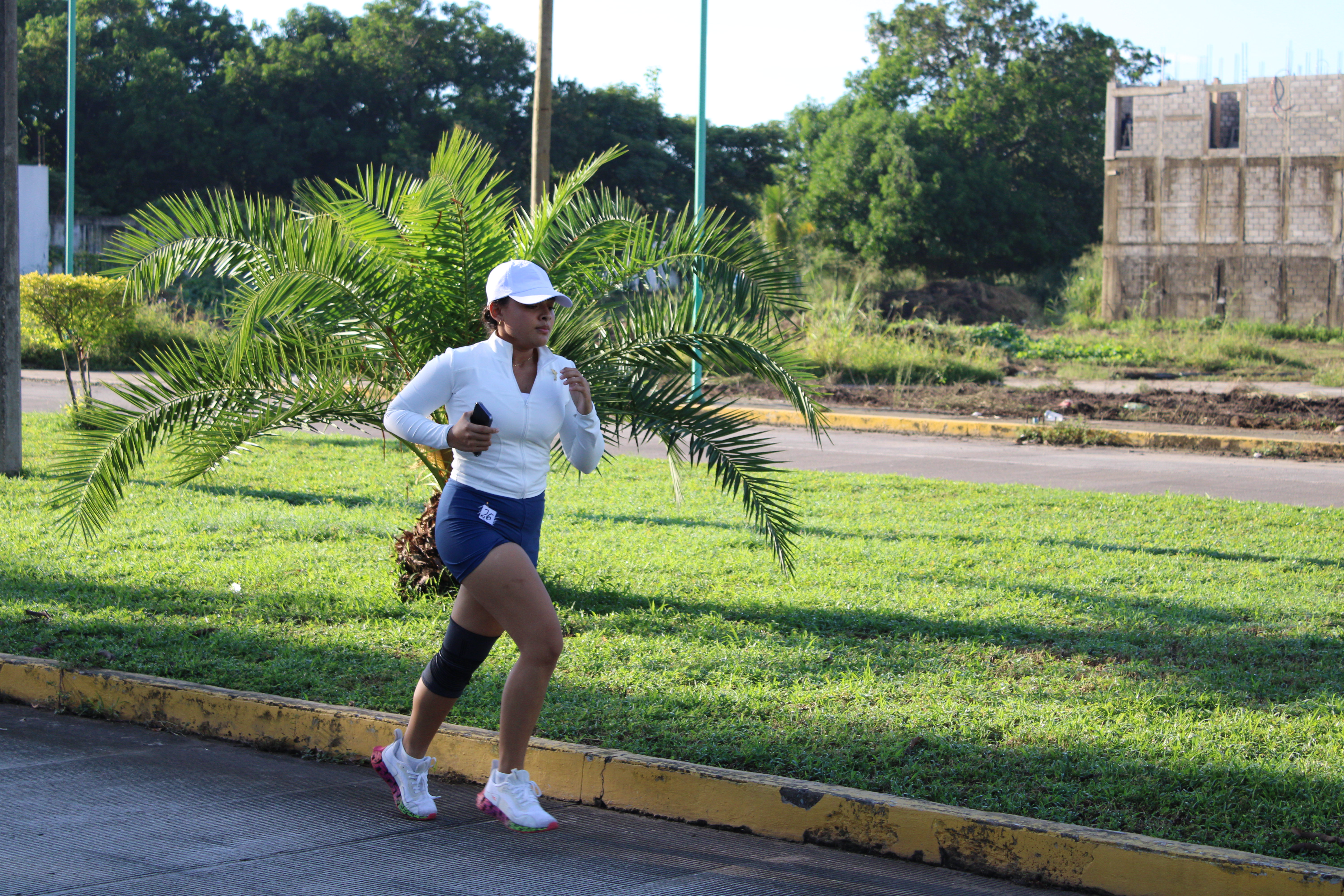 Descripción de la imagen