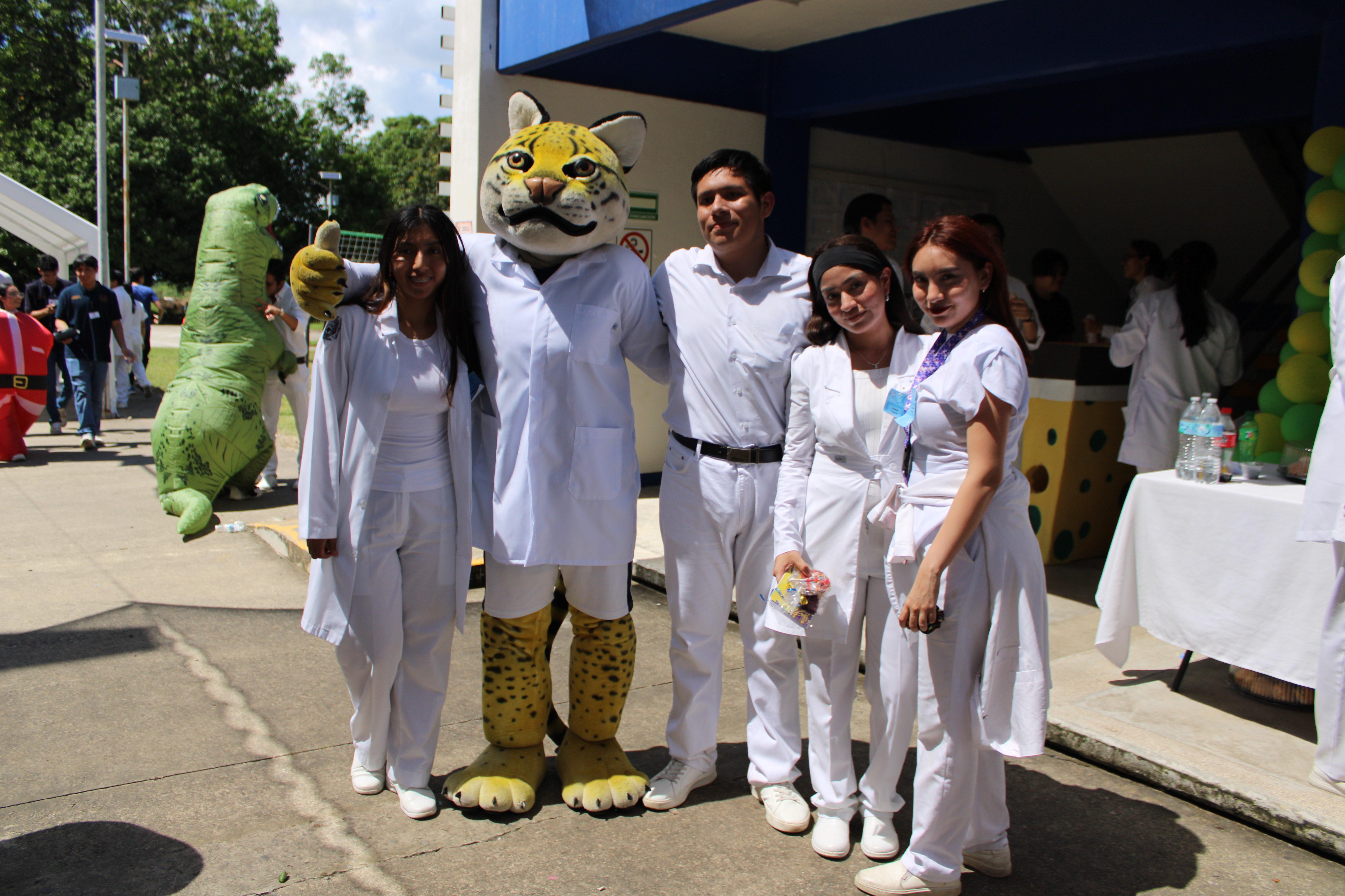 Descripción de la imagen