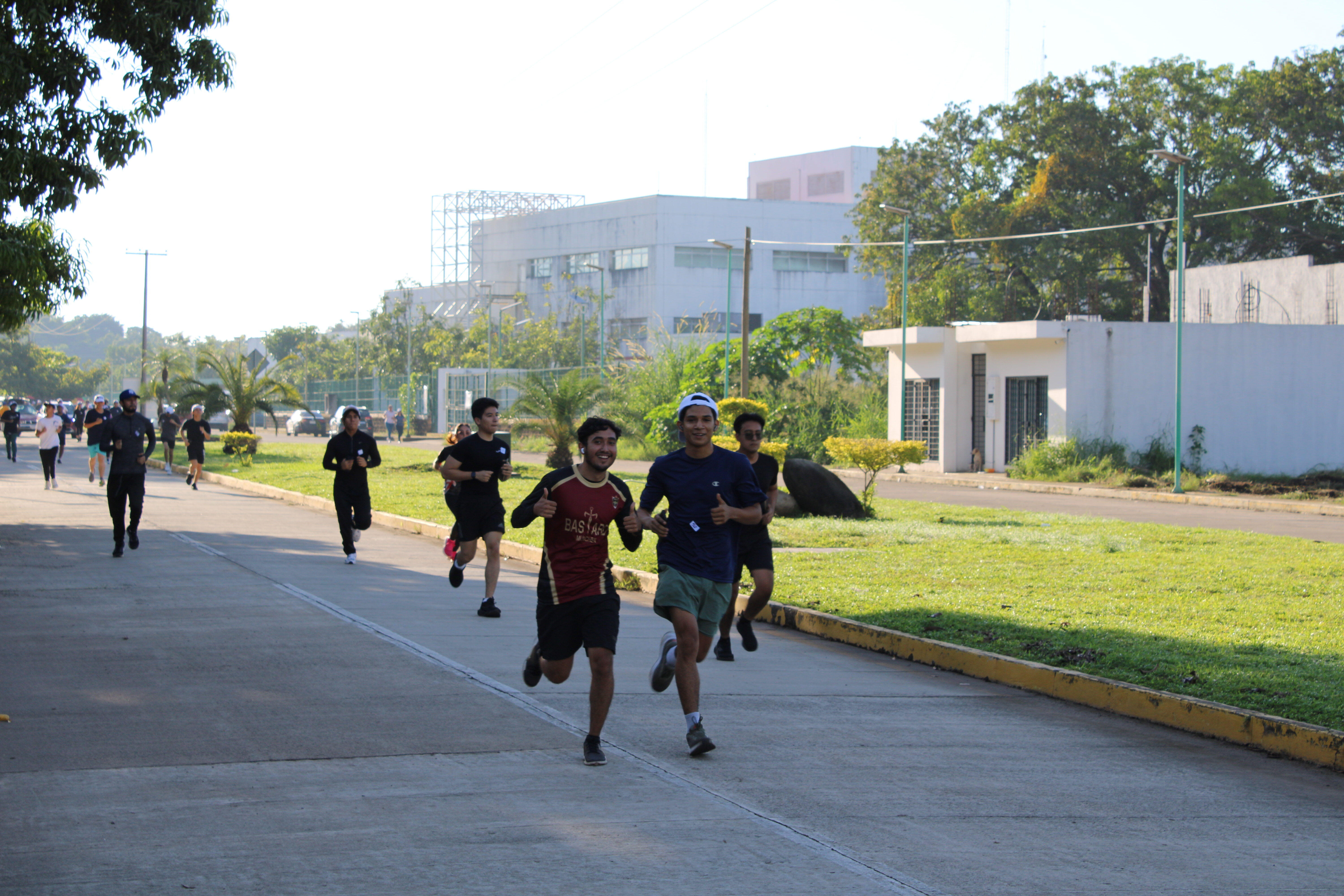 Descripción de la imagen