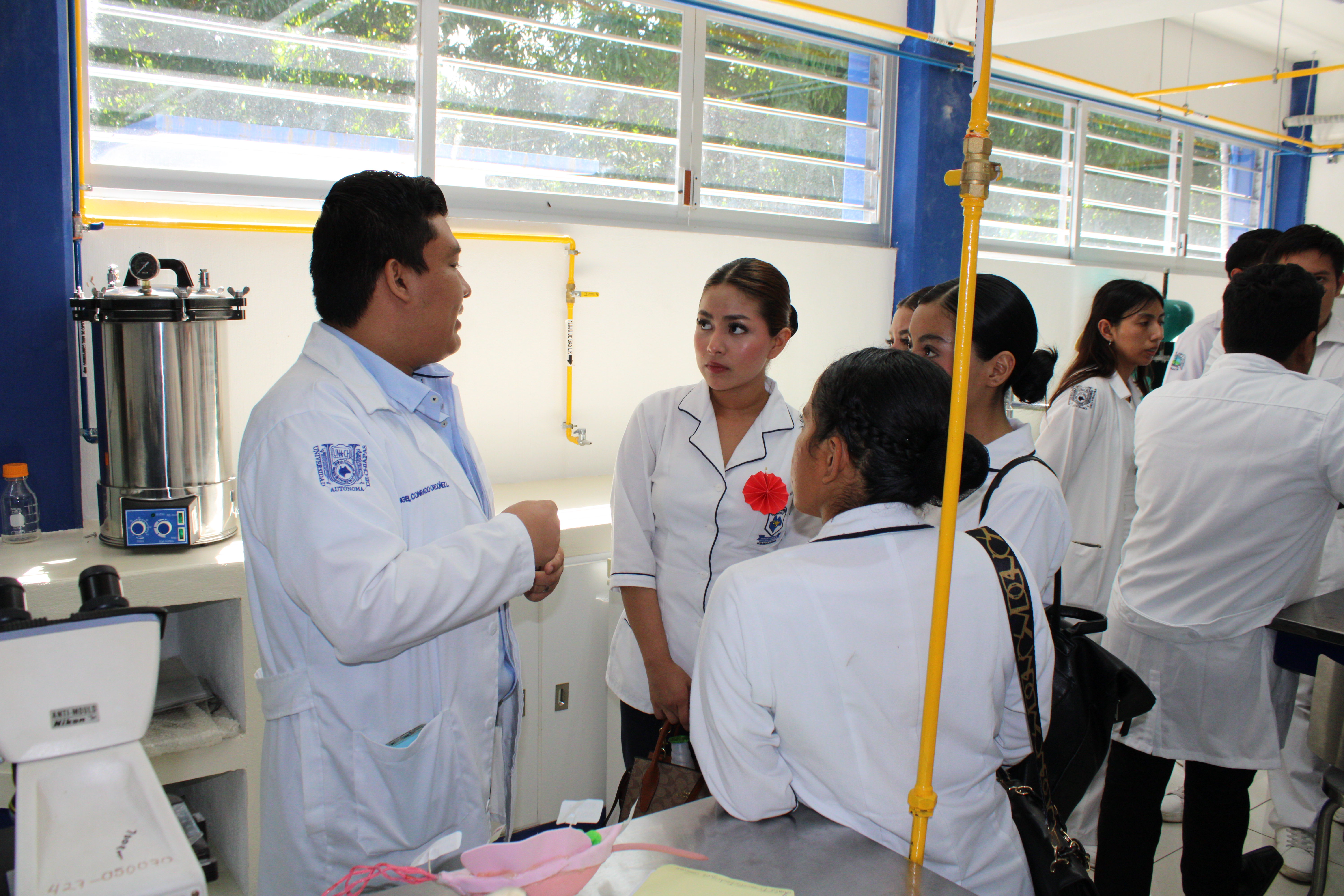 Descripción de la imagen